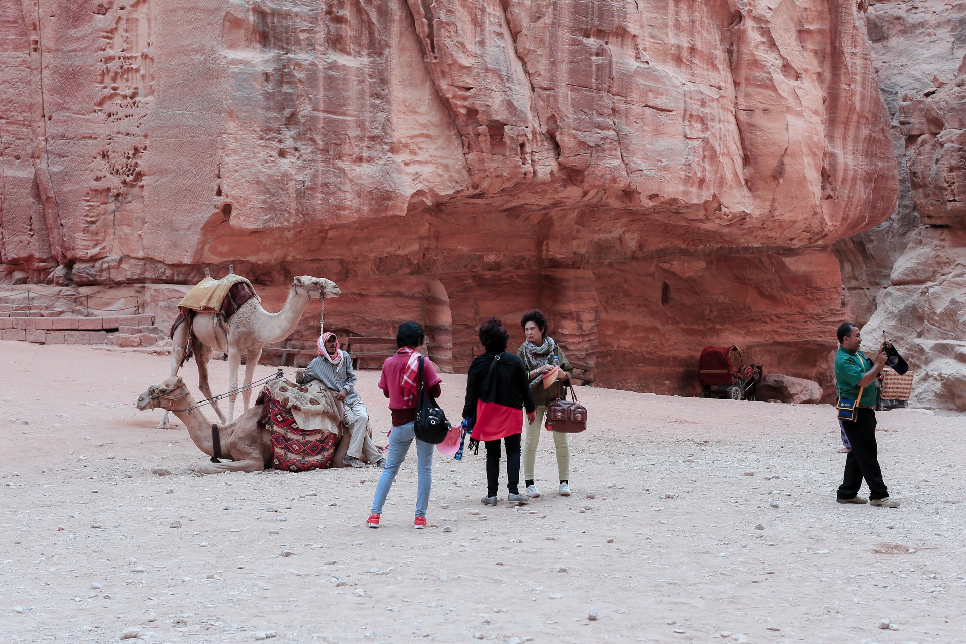 Visitors enjoying a guided tour with camels in the stunning rock formations of Petra, Jordan during the golden hour